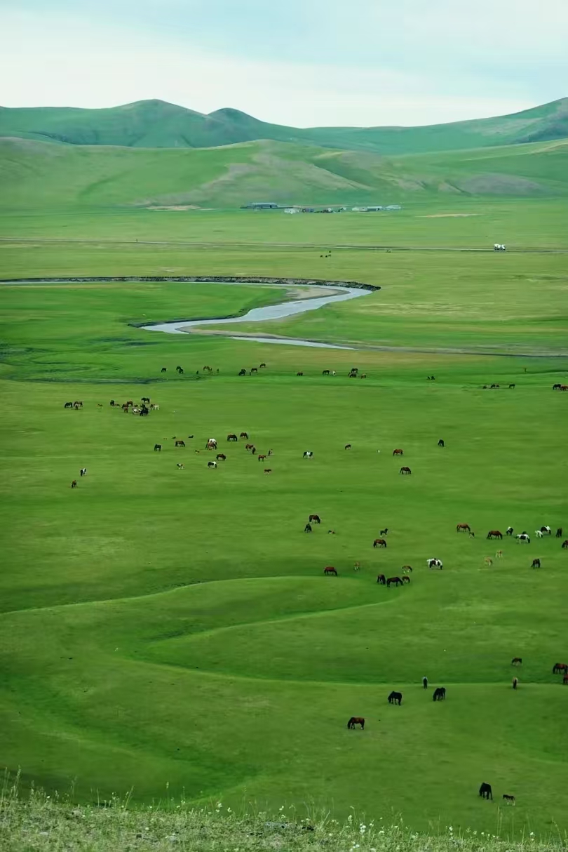 父亲的草原母亲的河