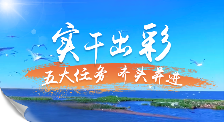 实干出彩 · 五大任务齐头并进