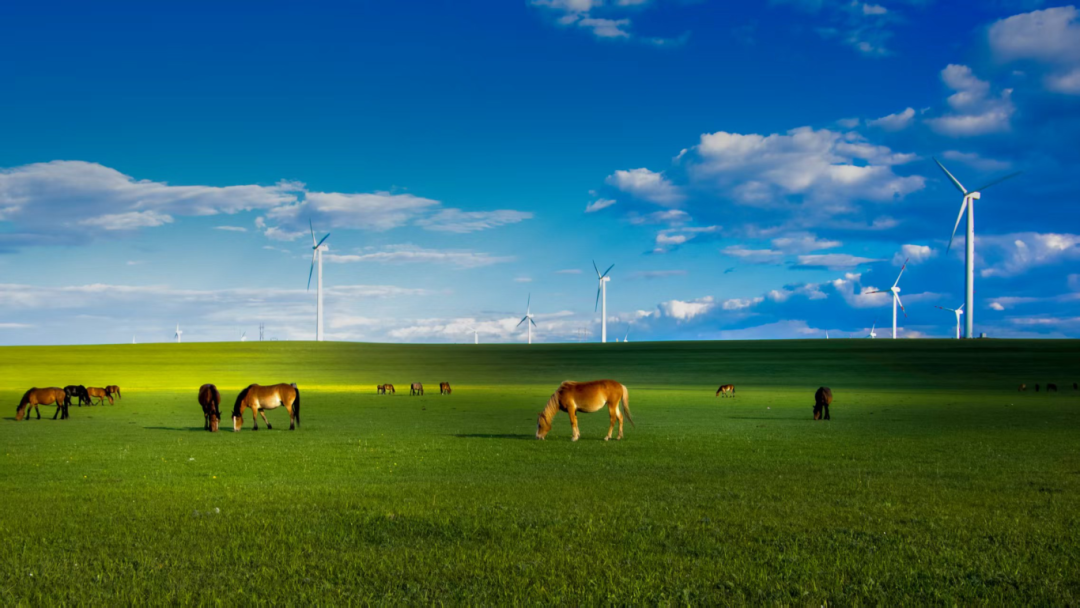 【4A】乌兰察布市辉腾锡勒黄花沟草原旅游区