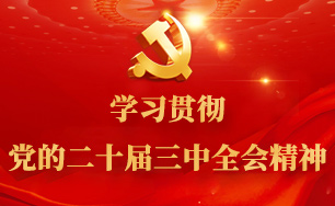 学习贯彻党的二十届三中全会精神